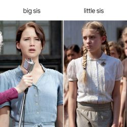 The seam in the hunger games