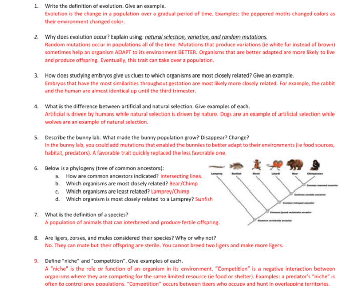 Evidence for evolution packet answers