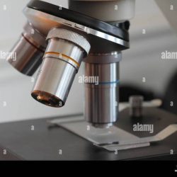 Microscope compound parts biology fig