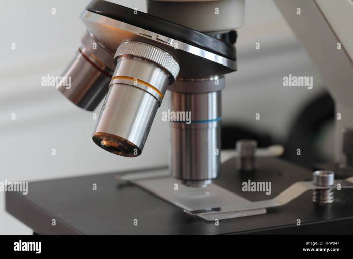 Microscope compound parts biology fig