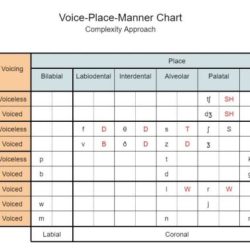 Manner place and voicing chart