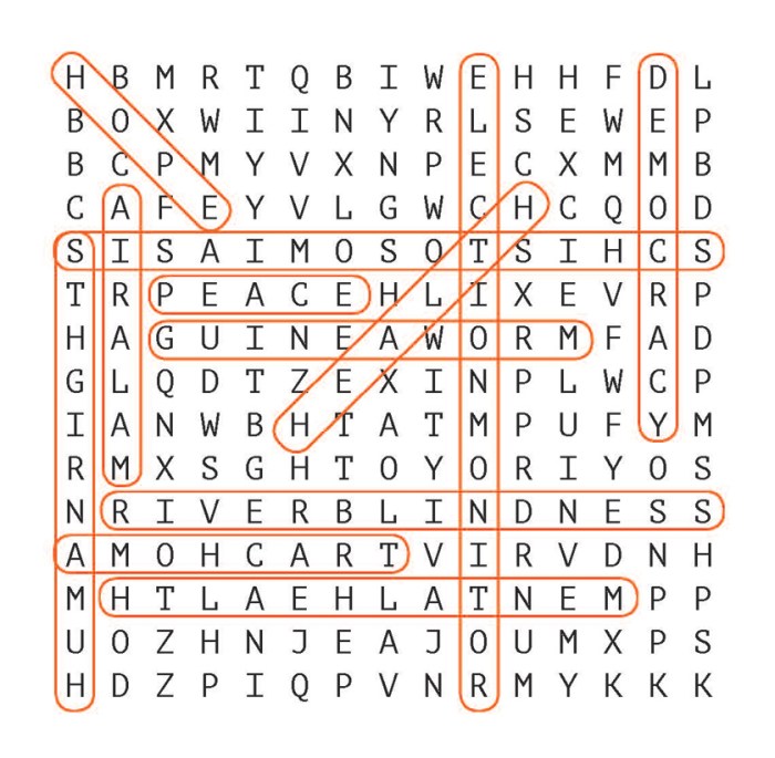 Biodiversity word search answer key