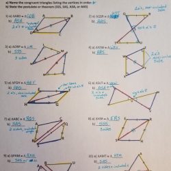 Triangle congruence sss vs sas worksheet answers