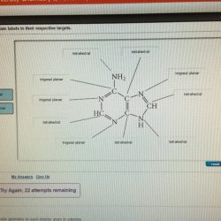 Atom geometry interior assign electron thymine